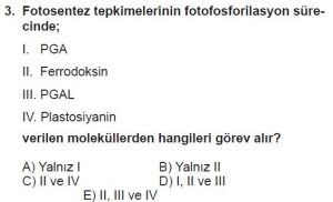 11. Sınıf Biyoloji Test 2 Soru-3