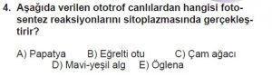 11. Sınıf Biyoloji Test 2 Soru-4