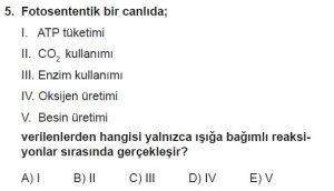 11. Sınıf Biyoloji Test 2 Soru-5