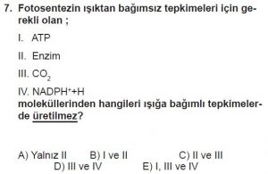 11. Sınıf Biyoloji Test 2 Soru-7