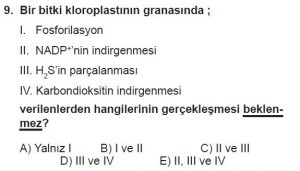 11. Sınıf Biyoloji Test 2 Soru-9