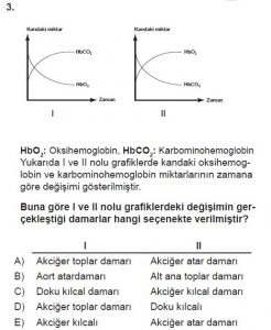 11. Sınıf Biyoloji Test 20 Soru-3