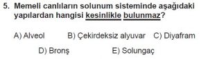 11. Sınıf Biyoloji Test 20 Soru-5
