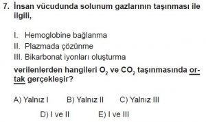11. Sınıf Biyoloji Test 20 Soru-7