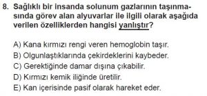 11. Sınıf Biyoloji Test 20 Soru-8