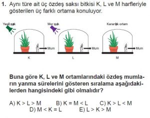 11. Sınıf Biyoloji Test 3 Soru-1