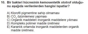 11. Sınıf Biyoloji Test 3 Soru-10