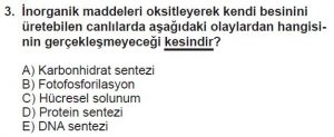 11. Sınıf Biyoloji Test 3 Soru-3