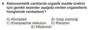 11. Sınıf Biyoloji Test 3 Soru-4