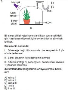 11. Sınıf Biyoloji Test 3 Soru-5