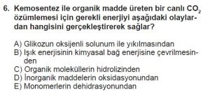 11. Sınıf Biyoloji Test 3 Soru-6