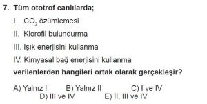 11. Sınıf Biyoloji Test 3 Soru-7