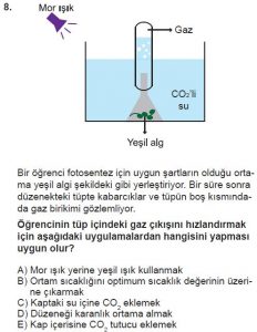 11. Sınıf Biyoloji Test 3 Soru-8