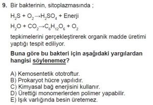 11. Sınıf Biyoloji Test 3 Soru-9