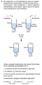 11. Sınıf Biyoloji Test 4 Soru-10
