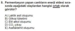 11. Sınıf Biyoloji Test 4 Soru-8