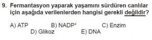 11. Sınıf Biyoloji Test 4 Soru-9