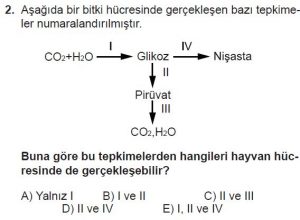 11. Sınıf Biyoloji Test 5 Soru-2
