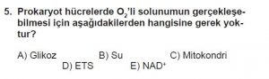 11. Sınıf Biyoloji Test 5 Soru-5