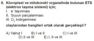 11. Sınıf Biyoloji Test 5 Soru-8