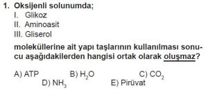 11. Sınıf Biyoloji Test 6 Soru-1