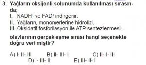 11. Sınıf Biyoloji Test 6 Soru-3