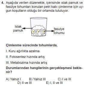 11. Sınıf Biyoloji Test 6 Soru-4