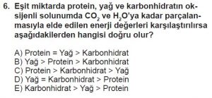11. Sınıf Biyoloji Test 6 Soru-6