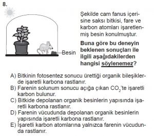 11. Sınıf Biyoloji Test 6 Soru-8