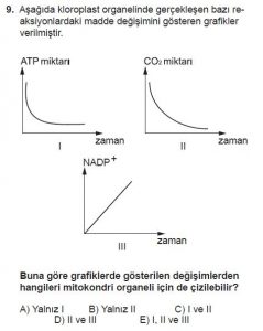 11. Sınıf Biyoloji Test 6 Soru-9