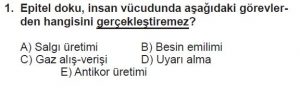 11. Sınıf Biyoloji Test 7 Soru-1