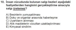 11. Sınıf Biyoloji Test 7 Soru-10