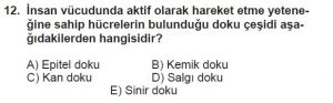 11. Sınıf Biyoloji Test 7 Soru-12