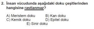 11. Sınıf Biyoloji Test 7 Soru-2
