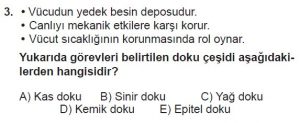 11. Sınıf Biyoloji Test 7 Soru-3