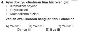 11. Sınıf Biyoloji Test 7 Soru-4