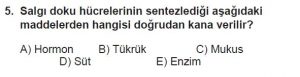 11. Sınıf Biyoloji Test 7 Soru-5