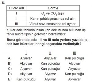 11. Sınıf Biyoloji Test 7 Soru-6