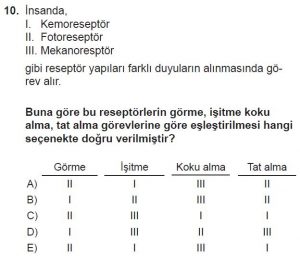 11. Sınıf Biyoloji Test 8 Soru-10