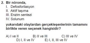 11. Sınıf Biyoloji Test 8 Soru-2