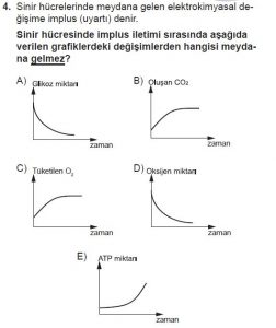 11. Sınıf Biyoloji Test 8 Soru-4