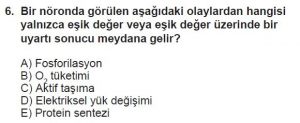 11. Sınıf Biyoloji Test 8 Soru-6