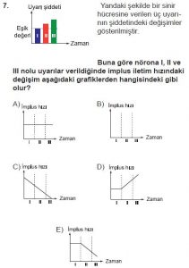 11. Sınıf Biyoloji Test 8 Soru-7