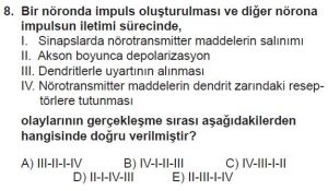 11. Sınıf Biyoloji Test 8 Soru-8