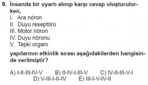11. Sınıf Biyoloji Test 8 Soru-9