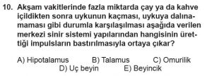 11. Sınıf Biyoloji Test 9 Soru-10