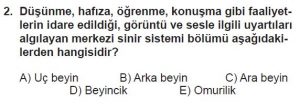11. Sınıf Biyoloji Test 9 Soru-2