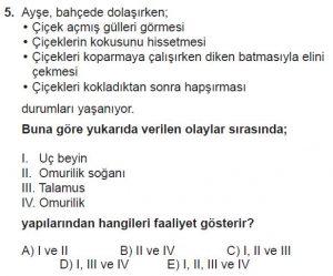 11. Sınıf Biyoloji Test 9 Soru-5