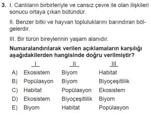 11. Sınıf Coğrafya Test 1 Soru-3