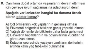 11. Sınıf Coğrafya Test 2 Soru-8
